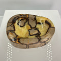 Septarian bowl