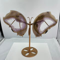 Amethyst agate butterfly wings