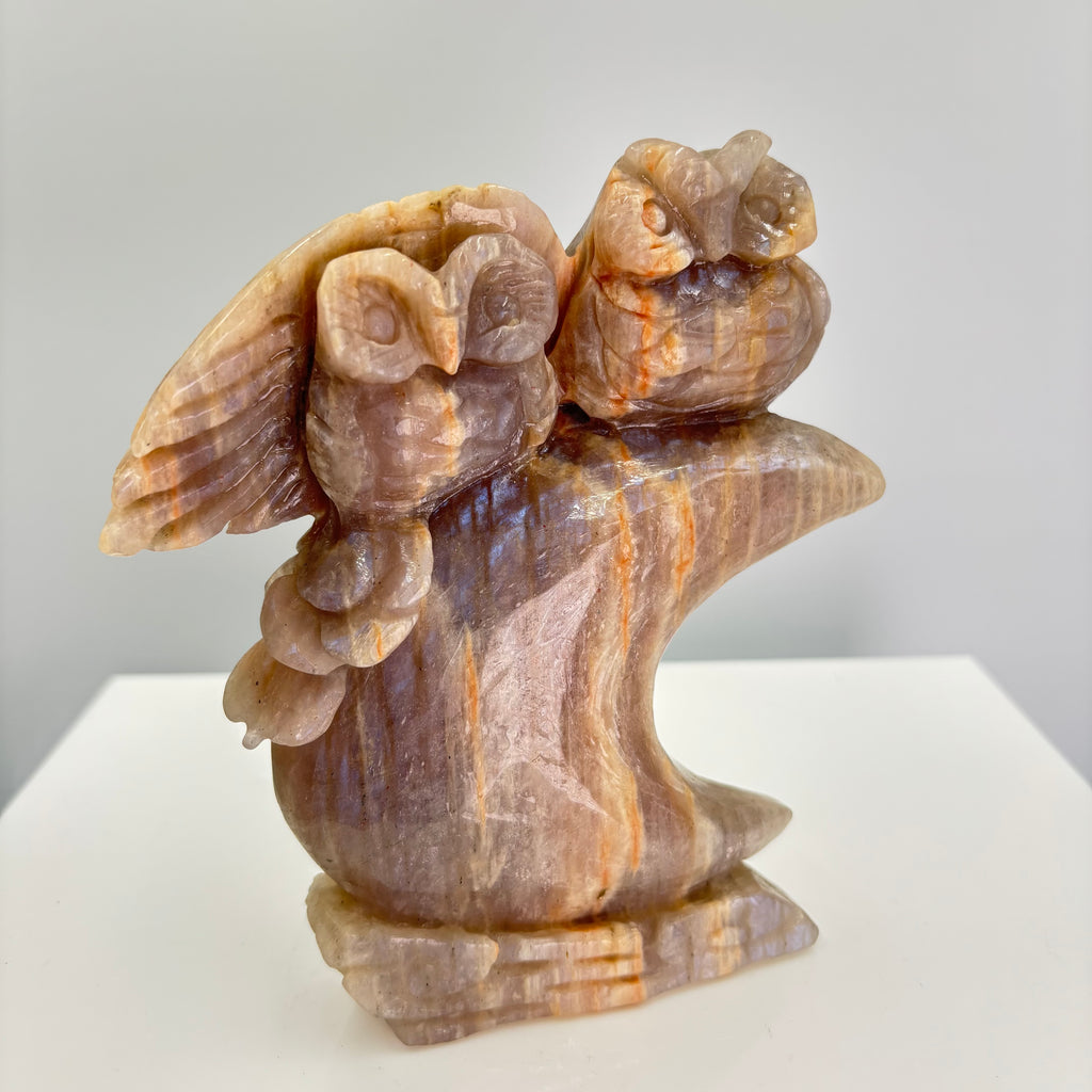 Moonstone owls