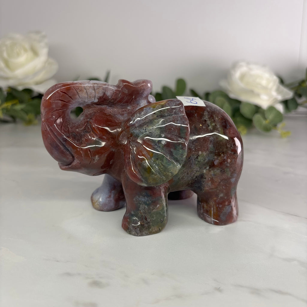 Ocean jasper elephant